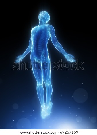 Human Body 3d Stock Photos, Images, & Pictures | Shutterstock