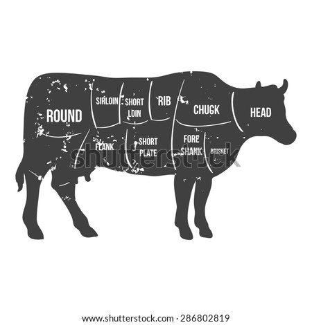 Cuts of beef diagram Stock Photos, Images, & Pictures | Shutterstock