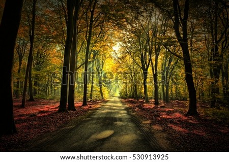 Sunrays Stock Images, Royalty-Free Images & Vectors | Shutterstock