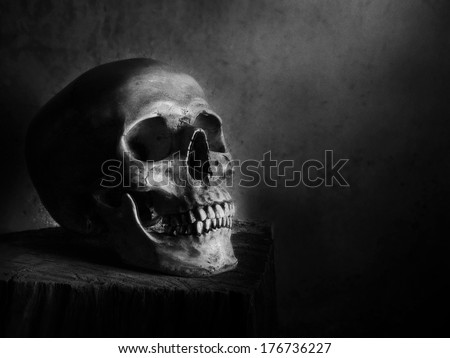 Still life fine art photography on human skeleton on wood log and red background black and Still life fine art photography on human skeleton on wood log and red background black and