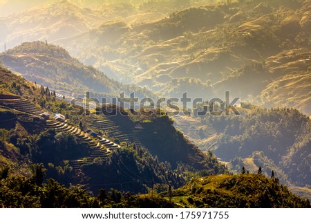 Rice step terrace in the light of late morning at Sa Pa, Lao Cai, Vietnam