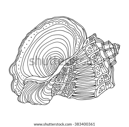 Seashell Isolated On White Vector Illustration Stock Vector 376529218 ...
