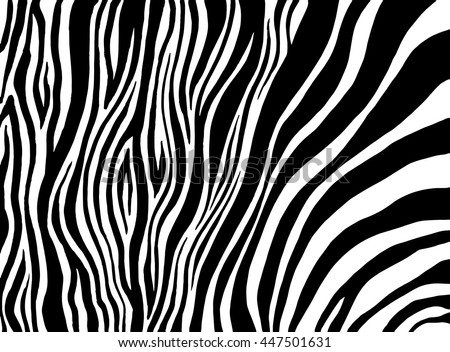 Stripe Animal Jungle Texture Zebra Vector Stock Vector 603269486 ...