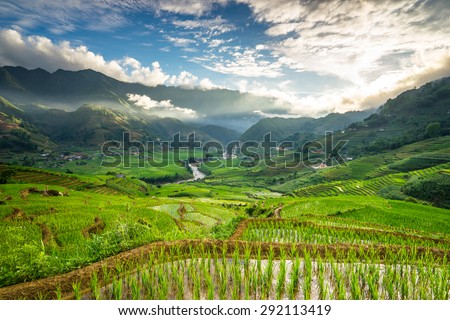 Rice fields on terraced in rainny season at SAPA, Lao Cai, Vietnam. Rice fields prepare for transplant at Northwest Vietnam