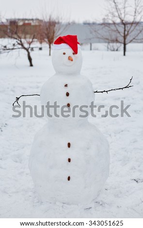 Real Snowman Real Snowman