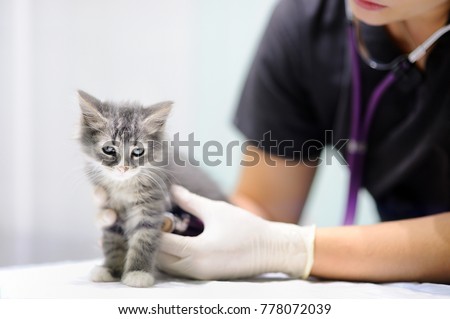Examination Stock Images, Royalty-Free Images & Vectors Examination Stock Images, Royalty-Free Images & Vectors