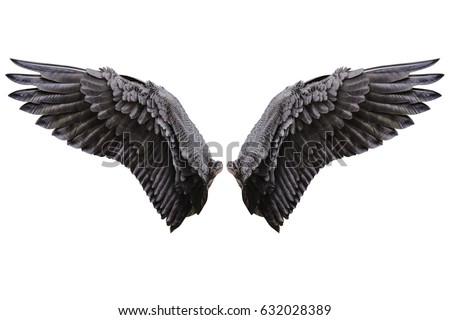 Angel wings isolated on white background with clipping part