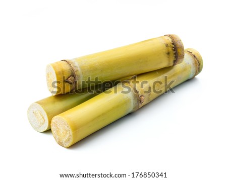 Sugar cane isolated on white background