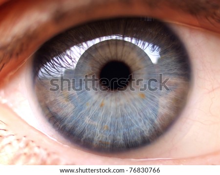 Eye Close Up Stock Photos, Images, & Pictures | Shutterstock