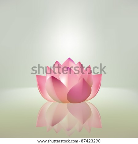 Beautiful pink lotus flower with reflection