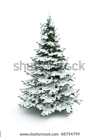 Spruce tree (Christmas tree) covered with snow.Isolated on a white background ,Part of a winter tree series 300 D.P.I image