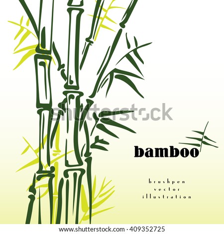 Green bamboo stems vector ink pen painting style. Simple bamboo illustration on white background. Bamboo bush. Bamboo leaves. Freshness in spring.