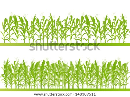 Corn field detailed countryside landscape illustration background vector