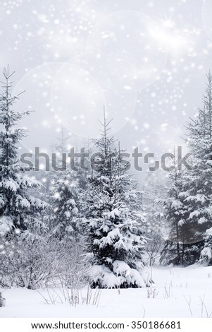 Trees covered with hoarfrost and snow and blue sky in mountains - Christmas background