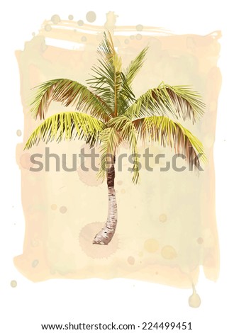 Palm Tree On Beach Vector Drawing Stock Vector 128651258 - Shutterstock