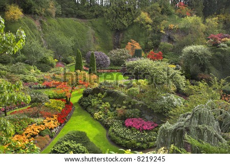 Picturesque Pond Dark Water Surrounded By Stock Photo 19919908 ...