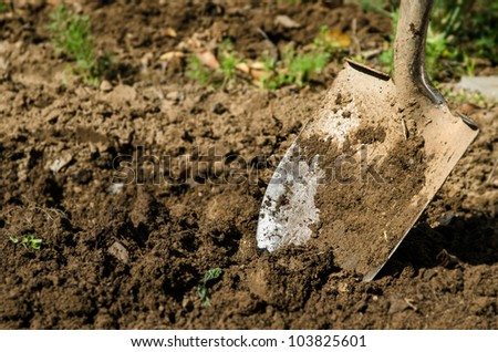 Shovel Dirt Stock Photos, Images, & Pictures | Shutterstock