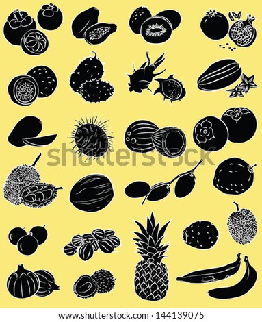 Vector illustration of tropical fruits in black and white