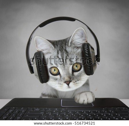 turlakova's Portfolio on Shutterstock