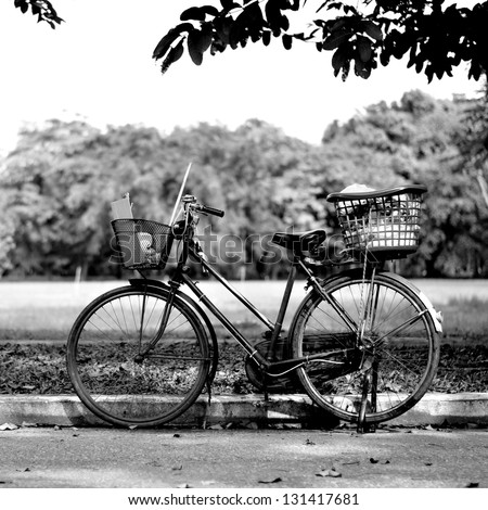 Old bicycle in park black and white photography Old bicycle in park black and white photography