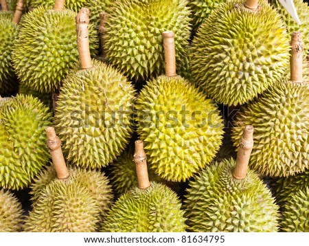 durian king of fruits Not surprisingly, then, while durian is regarded as the king of fruits, mangosteen is known in thailand as a most sweet and elegant queen nutritionally speaking, durian is a great source of vitamin c and potassium, although it’s not a light fruit for when you’re on a diet. durian king of fruits Not surprisingly, then, while durian is regarded as the king of fruits, mangosteen is known in thailand as a most sweet and elegant queen nutritionally speaking, durian is a great source of vitamin c and potassium, although it’s not a light fruit for when you’re on a diet.