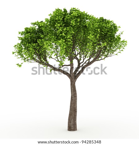 Small Trees Stock Images, Royalty-Free Images & Vectors | Shutterstock