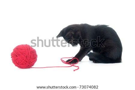 Cat Ball Of Yarn Stock Photos, Images, & Pictures | Shutterstock