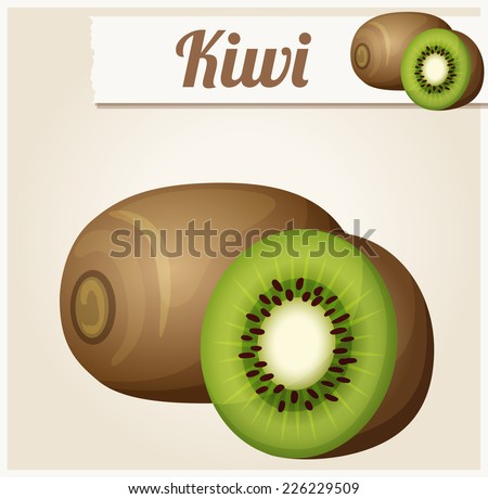 Kiwi. Detailed Vector Icon. Series of food and drink