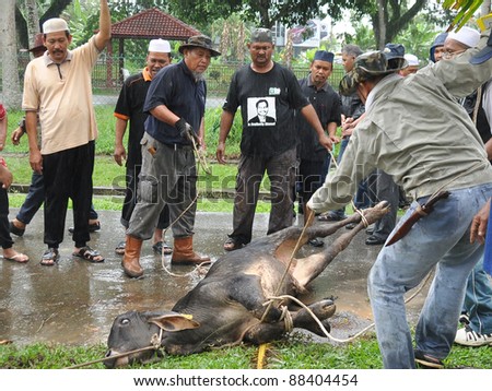 Animal Slaughtering Stock Photos, Images, & Pictures | Shutterstock