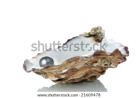 Black Pearl in an oyster shell, isolated on a white background with reflection.