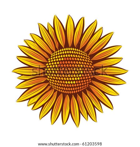 Sunflower Black Background Stock Images, Royalty-Free Images & Vectors