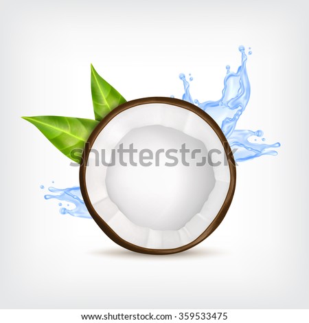 Coconut with green leaves and blue water splash. Vector icon. EPS10 vector