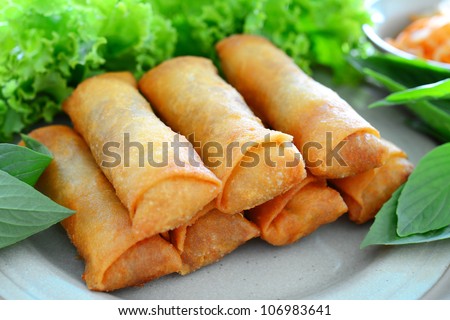 crispy spring rolls on dish with vegetable