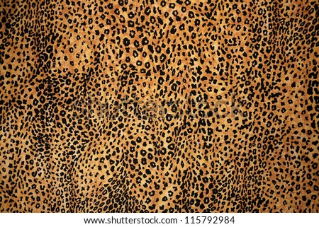 This background Animal Print photograph is very popular among the subscribers to Shutterstock!