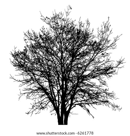 Dry Tree Shape Isolated On White Stock Photo 471167198 - Shutterstock