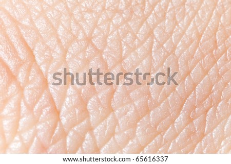 skin human texture with water drops closeup background stock photo stock images bigstock skin closeup stock images royalty free images vectors skin human texture with water drops closeup background stock photo stock images bigstock skin closeup stock images royalty free images vectors