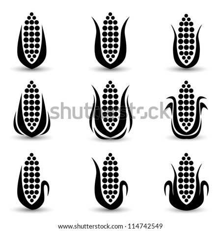 Corn Icon or symbol vector set