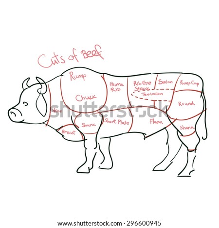 Beef Cut Cuts Beef Vector Stock Vector 131280110 - Shutterstock