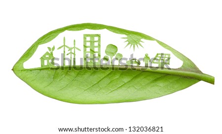 Essay green clean city