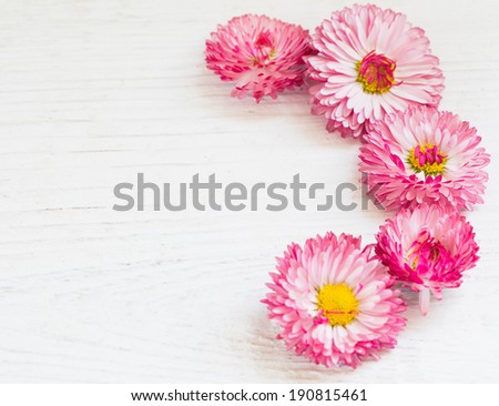 Colorful Flower Arrangement Bright Multicolored Daisies Stock Photo ...