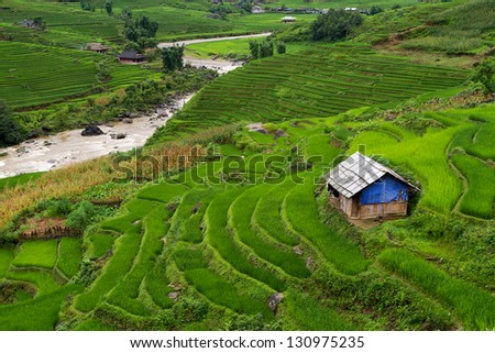 View of the Lao Cai village with terraces of rice