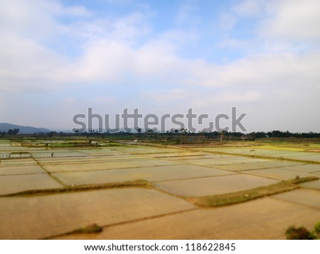 Rice paddy field at Citadel of the Ho Dynasty in Thanh Hoa, Vietnam - a UNESCO World Heritage Site