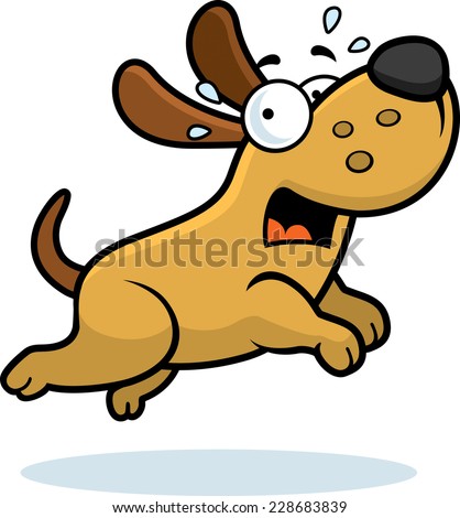 Scared Dog Stock Photos, Images, & Pictures | Shutterstock