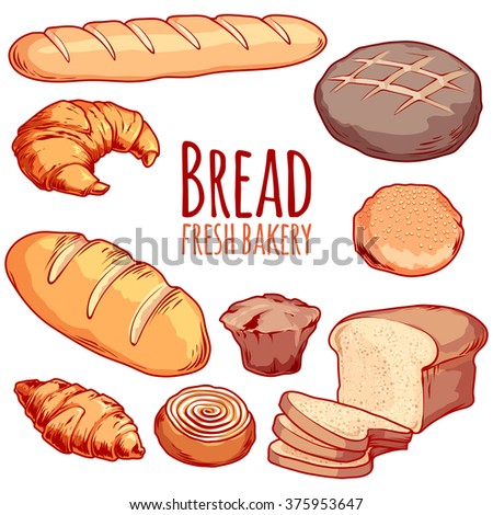 Set Different Bakery Bread Loaf Bun Stock Vector 375953647 - Shutterstock