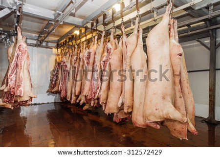 Slaughter house images Slaughter house images