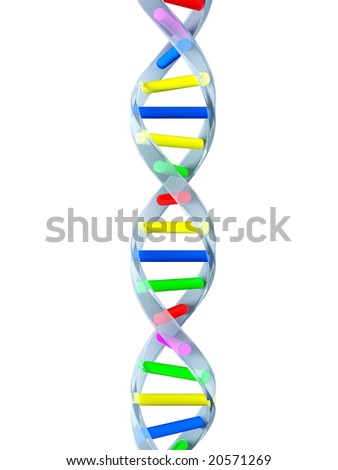 Vector Illustration Double Helix Dna Strand Stock Vector 34693498