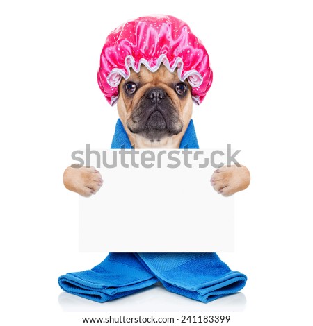 Shower Cap Dog Shower Cap Dog