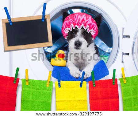 Shower Cap Dog Shower Cap Dog