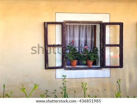 Pelargonium Stock Photos, Royalty-Free Images & Vectors - Shutterstock