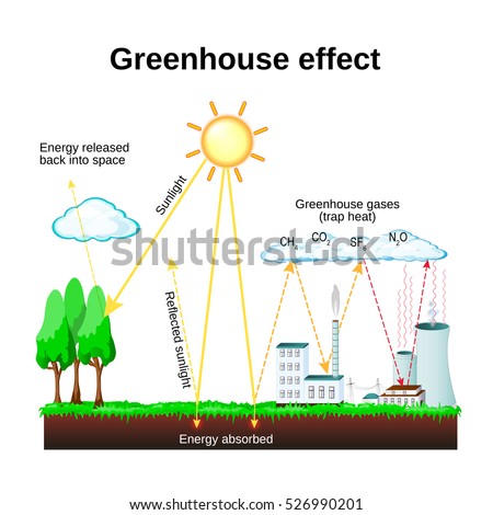 Essay: The Greenhouse Effect